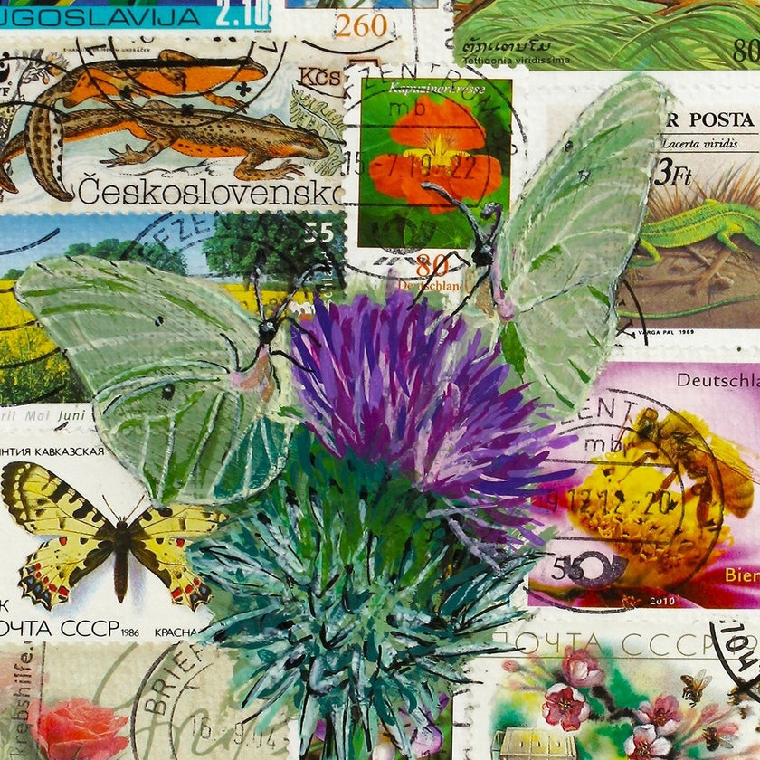 Love Post-Art Butterfly – Fine Art Print